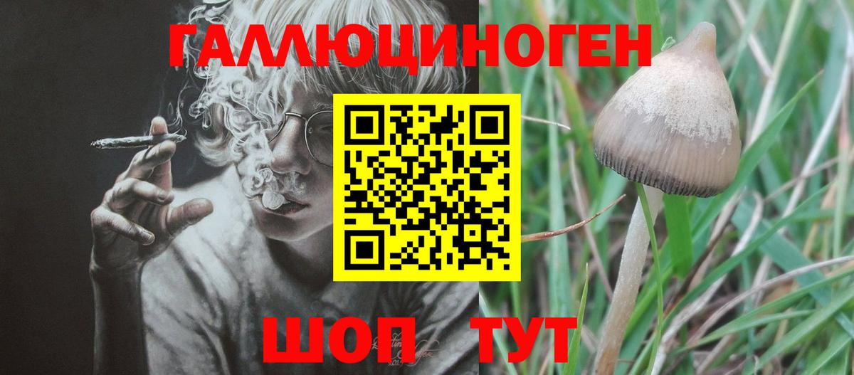 Псилоцибиновые грибы Cubensis  Псилоцибиновые грибы Psilocybe  Новый Уренгой  Вход с VPN 